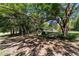 Backyard with mature trees providing ample shade and open space at 18695 Ne 5Th Terrace Rd, Citra, FL 32113