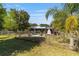 Backyard featuring various plants, chain link fencing and trees at 18695 Ne 5Th Terrace Rd, Citra, FL 32113