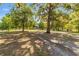 Pasture area featuring mature trees, fencing and open space at 18695 Ne 5Th Terrace Rd, Citra, FL 32113
