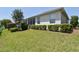 Well-maintained backyard with lush green grass, trimmed hedges, and mature trees providing privacy at 2339 Nw 55Th Avenue Rd, Ocala, FL 34482