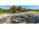 Spacious backyard with mature palms, a wooden fence, and a view of the rear of the home at 6045 Ne 65Th St, Silver Springs, FL 34488