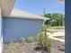 Charming exterior view showcasing the manicured landscaping and well-maintained lawn at 6671 Se 108Th St, Belleview, FL 34420