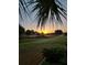 Sunset view of the golf course featuring palm trees, lush green grass, and a peaceful atmosphere at 7503 Sw 97Th Terrace Rd, Ocala, FL 34481