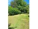 Expansive backyard showcasing well-maintained lawn and mature trees at 8107 Sw 108Th Place Rd, Ocala, FL 34481