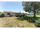 View of the home's backyard featuring a lush lawn and mature tree shading the exterior at 10040 Sw 93Rd Ct, Ocala, FL 34481