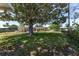 Spacious backyard with a large shade tree, offering plenty of room for outdoor activities at 10040 Sw 93Rd Ct, Ocala, FL 34481