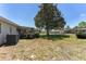 Expansive backyard featuring a mature tree that provides shade and adds natural beauty to the property at 10040 Sw 93Rd Ct, Ocala, FL 34481
