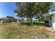 Wide backyard with a mature tree providing ample shade and a home in the background at 10040 Sw 93Rd Ct, Ocala, FL 34481