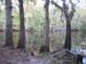 Tranquil lake view framed by trees, creating a serene natural setting at 11921 Se 169Th Avenue Rd, Ocklawaha, FL 32179