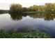 Still lake reflects the surrounding trees and sky, framed by green foliage at 11921 Se 169Th Avenue Rd, Ocklawaha, FL 32179