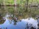 Calm lake reflecting surrounding lush greenery and trees, creating a peaceful natural view at 11921 Se 169Th Avenue Rd, Ocklawaha, FL 32179