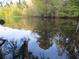 Picturesque lake view showing the reflection of the sky and trees off the calm waters at 11921 Se 169Th Avenue Rd, Ocklawaha, FL 32179