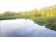 Scenic lake view with lush greenery and trees reflecting off the tranquil waters at 11921 Se 169Th Avenue Rd, Ocklawaha, FL 32179