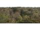 Expansive view of a lush tree canopy, showcasing the vibrant green foliage of the forest at 11921 Se 169Th Avenue Rd, Ocklawaha, FL 32179