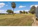 Well-manicured backyard features lush grass, palm trees, landscaping, and golf course at 15239 Sw 15Th Terrace Rd, Ocala, FL 34473