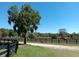 Scenic view of horse farm with lush greenery, fences, and large trees, creating a tranquil and picturesque setting at 2630 Nw 140Th St, Citra, FL 32113