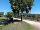Picturesque horse farm with a tree-lined path and black fencing, offering a serene and inviting atmosphere at 2630 Nw 140Th St, Citra, FL 32113