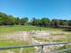 Spacious green pasture with mature trees and a water feature, perfect for grazing and outdoor enjoyment at 2630 Nw 140Th St, Citra, FL 32113