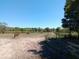 Spacious horse property features lush grass, multiple horses, and sturdy fencing at 2630 Nw 140Th St, Citra, FL 32113