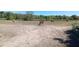 Expansive land with horses grazing in the distance and classic fencing at 2630 Nw 140Th St, Citra, FL 32113