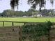 Scenic horse pasture with wooden fencing, lush greenery, and mature trees at 2630 Nw 140Th St, Citra, FL 32113