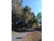 Scenic road lined with mature trees and horse crossing sign at 2630 Nw 140Th St, Citra, FL 32113