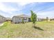Spacious backyard with well-manicured lawn and freshly planted tree at 9945 Sw 83Rd Ln, Ocala, FL 34481