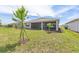 Well maintained backyard with green grass and young trees at 9945 Sw 83Rd Ln, Ocala, FL 34481