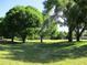 Lush green field with mature trees creating a serene, shaded landscape at 13675 Sw 111Th Ave, Dunnellon, FL 34432