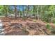 Scenic land with mature trees and natural foliage, offering privacy and potential for building at 4180 W Anthony Rd, Ocala, FL 34475