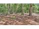 Picturesque land featuring mature trees and natural foliage, creating a serene and private setting at 4180 W Anthony Rd, Ocala, FL 34475