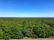 Expansive view of wooded land under a clear, bright blue sky, offering privacy and natural beauty at 5198 Ne 19Th Pl, Ocala, FL 34470