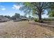 Large backyard offering a spacious outdoor area with mature trees providing shade at 614 Third Ave, Lady Lake, FL 32159