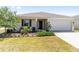 Beautiful front yard with mature tree and meticulously maintained landscaping at 8952 Sw 79Th Ln, Ocala, FL 34481