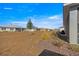 Expansive backyard with fresh sod and landscaping featuring beautiful views of other homes in the neighborhood at 10589 Sw 98Th Ln, Ocala, FL 34481
