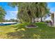Lush backyard with a stately palm tree and a view of neighboring homes and clear blue skies at 10833 Sw 86Th Ter, Ocala, FL 34481