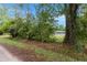 View of the grey house behind some greenery with a small peek of the roof at 11065 Ne 42Nd St, Silver Springs, FL 34488