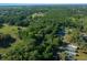 Scenic aerial view showing the abundance of mature trees at 16571 Se 95Th Street Rd, Ocklawaha, FL 32179