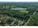 Wide aerial view with mature trees and a lake in the distance at 16571 Se 95Th Street Rd, Ocklawaha, FL 32179