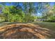 Expansive front yard offering plenty of space and shaded by mature trees, leading to a cozy home at 16571 Se 95Th Street Rd, Ocklawaha, FL 32179