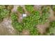 Aerial view showcases a tranquil cabin nestled amidst verdant trees and natural landscape, perfect for a serene getaway at 16891 Ne 243Rd Place Rd, Fort Mc Coy, FL 32134