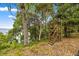 Wooden platform amid trees offers scenic views of the lake, enhancing this property's tranquil, natural setting at 16891 Ne 243Rd Place Rd, Fort Mc Coy, FL 32134