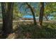 Spacious backyard with several mature trees and the back of the home is partially visible at 9885 Se 144Th St, Summerfield, FL 34491