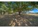 Large backyard with several mature trees providing shade and partial view of the home at 9885 Se 144Th St, Summerfield, FL 34491