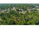 Lush greenery fills this aerial view of the neighborhood featuring a canopy of trees at 1039 Ne 25Th St, Ocala, FL 34470