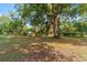 Spacious backyard with mature trees offering shade and privacy, a serene outdoor space at 1039 Ne 25Th St, Ocala, FL 34470