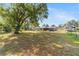 Expansive backyard featuring lush green grass and mature trees, perfect for outdoor enjoyment and activities at 1039 Ne 25Th St, Ocala, FL 34470