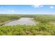 Expansive lakefront acreage with a dense green forest offers a tranquil and private setting at 14620 Se 47Th Loop, Ocklawaha, FL 32179