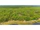 Serene lakefront setting with mature trees surrounding a charming home with private boat access at 14620 Se 47Th Loop, Ocklawaha, FL 32179