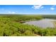 Stunning aerial view of a private lake surrounded by a dense forest, offering unparalleled privacy at 14620 Se 47Th Loop, Ocklawaha, FL 32179